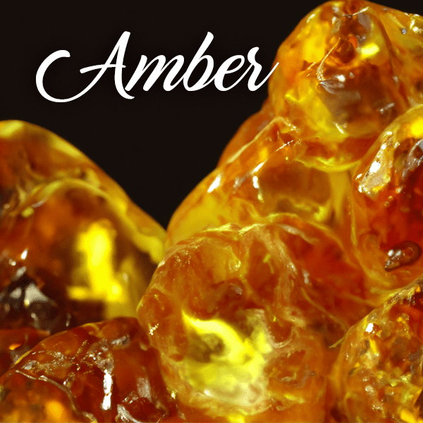 Amber Fragrances - Muse Fragrance