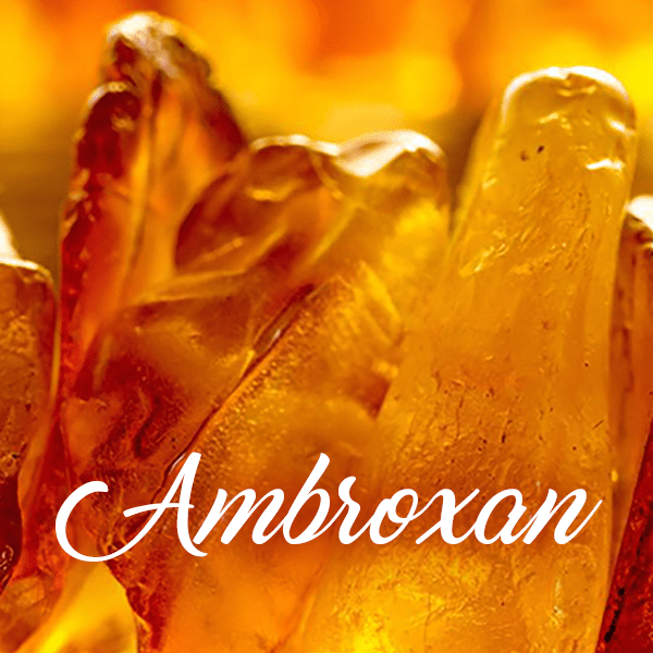 Ambroxan Fragrances - Muse Fragrance