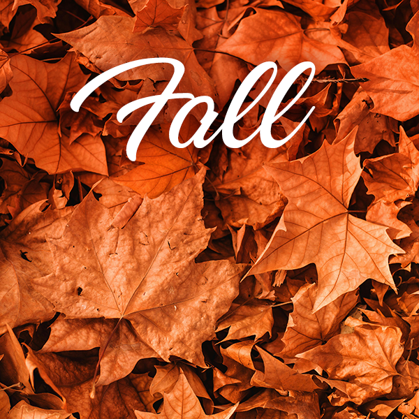 Fall Collection