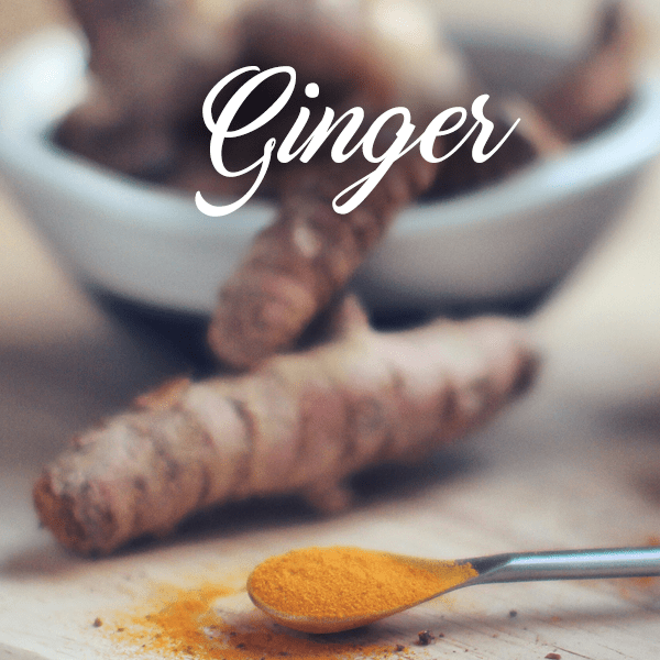 Ginger Fragrances - Muse Fragrance