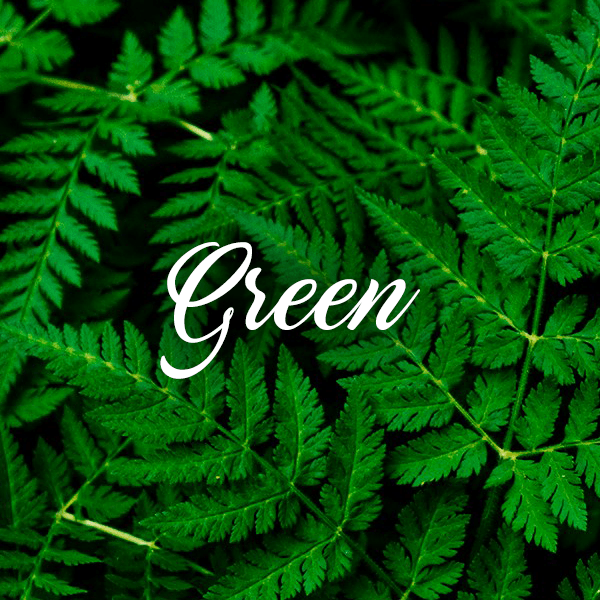 Green Fragrances - Muse Fragrance