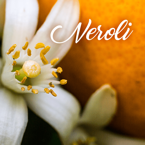 Neroli Fragrances - Muse Fragrance