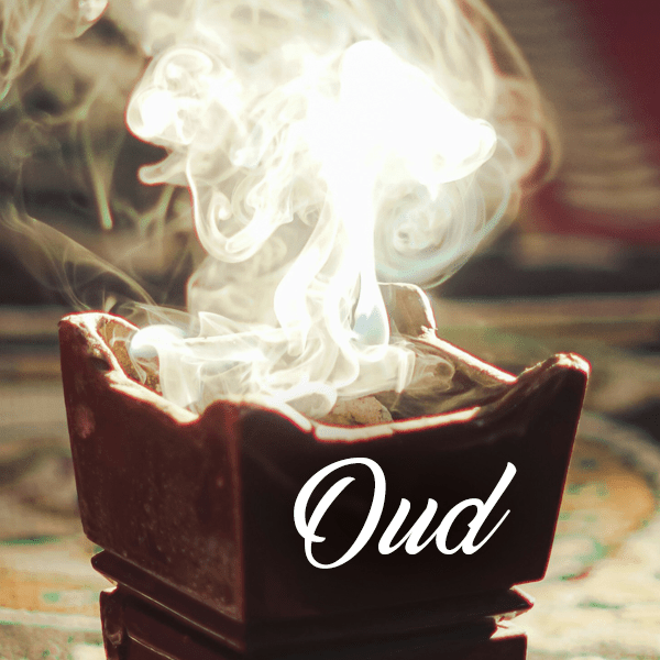 Oud Fragrances - Muse Fragrance