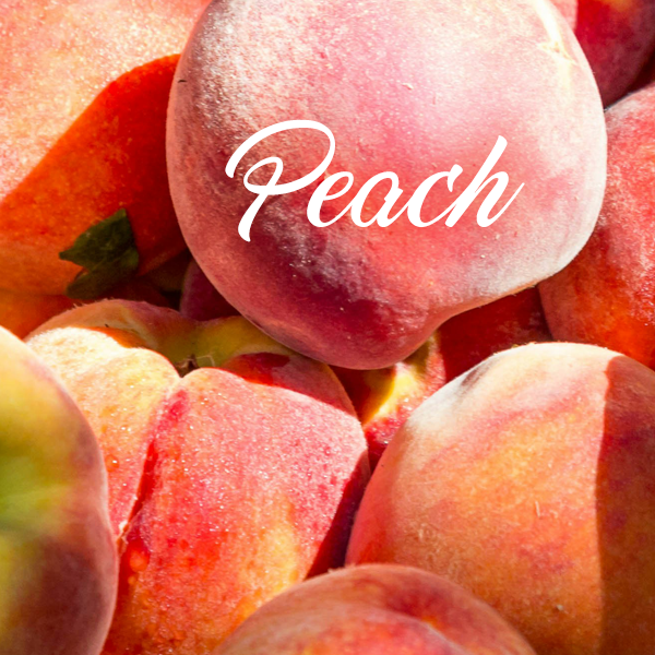 Peach Fragrances - Muse Fragrance