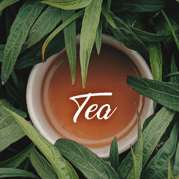 Tea Fragrances - Muse Fragrance