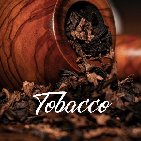 Tobacco Fragrances - Muse Fragrance