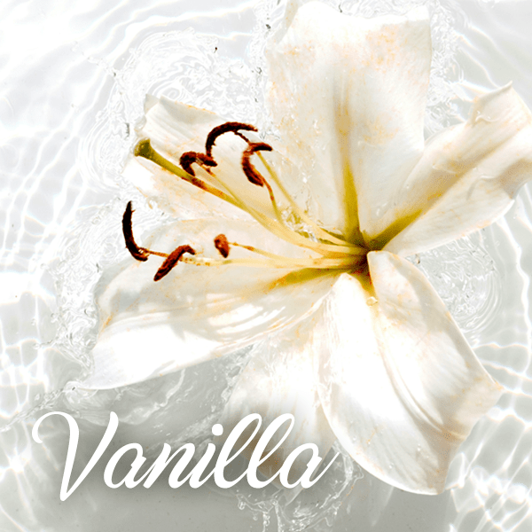Vanilla Fragrances - Muse Fragrance