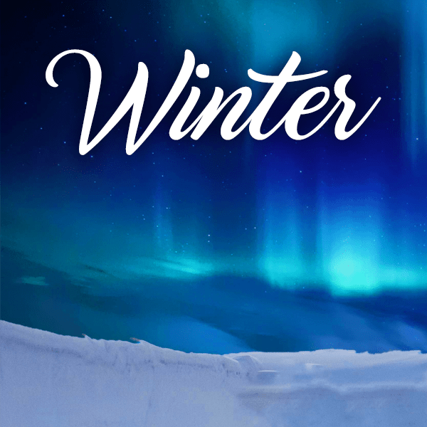 Winter Collection - Muse Fragrance