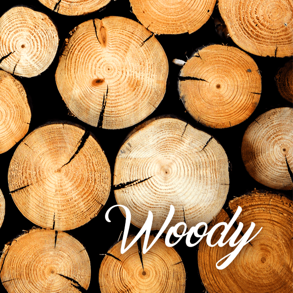 Woody Fragrances - Muse Fragrance