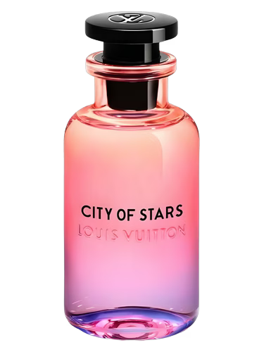Louis Vuitton City of Stars
